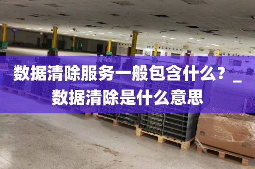 数据清除服务一般包含什么？_数据清除是什么意思